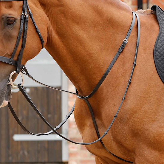Premier Equine Gressan Standing Martingale by Premier Equine at  Try a Bit