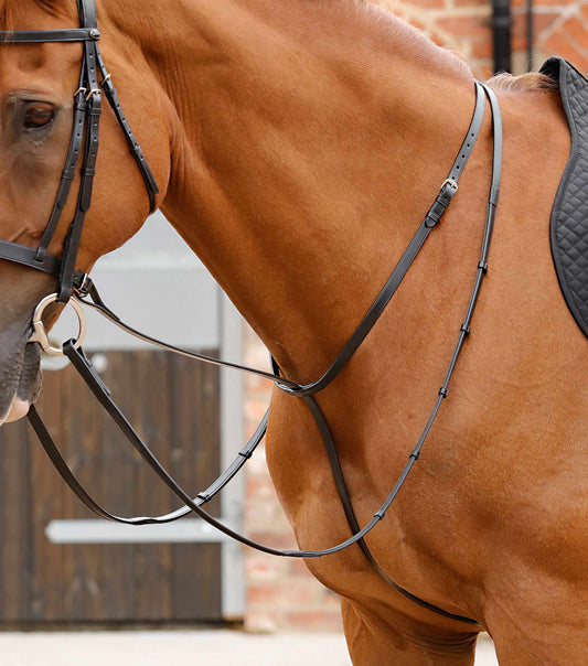 Premier Equine Gressan Standing Martingale by Premier Equine at  Try a Bit