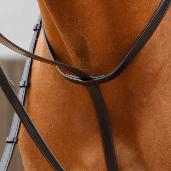 Premier Equine Gressan Standing Martingale by Premier Equine at  Try a Bit