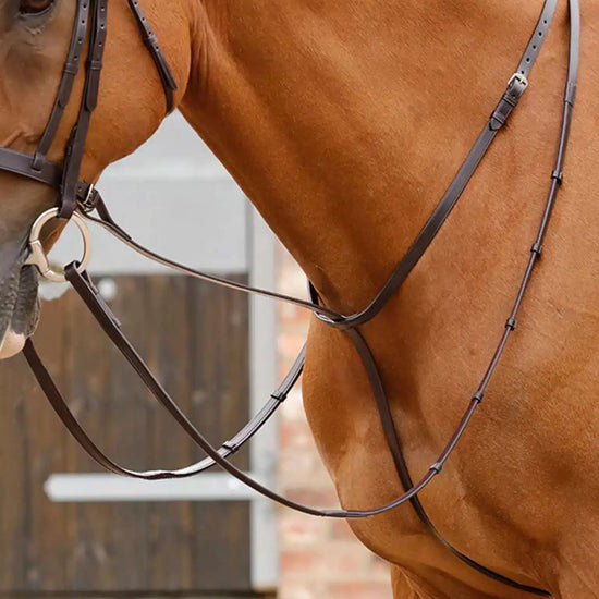 Premier Equine Gressan Standing Martingale by Premier Equine at  Try a Bit
