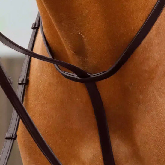 Premier Equine Gressan Standing Martingale by Premier Equine at  Try a Bit