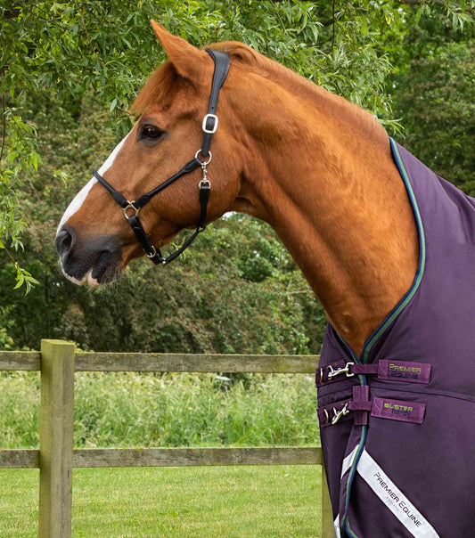 Premier Equine Buster Hardy 100g Half Neck Turnout Rug by Premier Equine at  Try a Bit