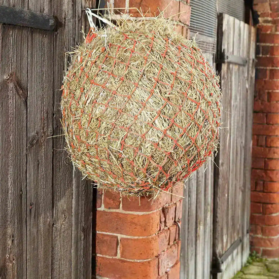 Premier Equine Hay/ Haylage Net by Premier Equine at  Try a Bit
