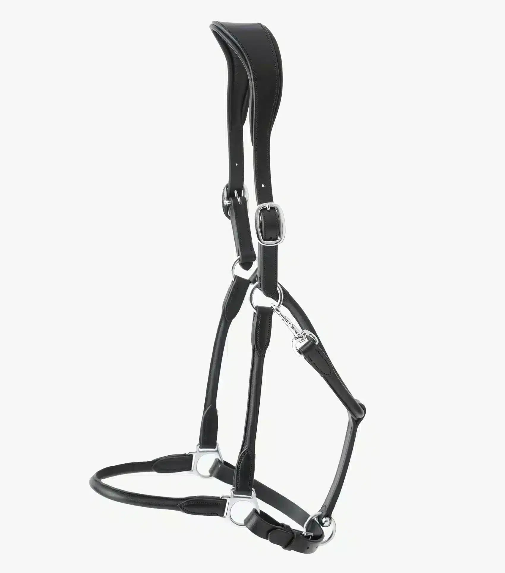 Premier Equine Hennaroso Rolled Anatomic Leather Head Collar by Premier Equine at  Try a Bit