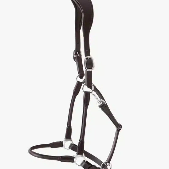 Premier Equine Hennaroso Rolled Anatomic Leather Head Collar by Premier Equine at  Try a Bit