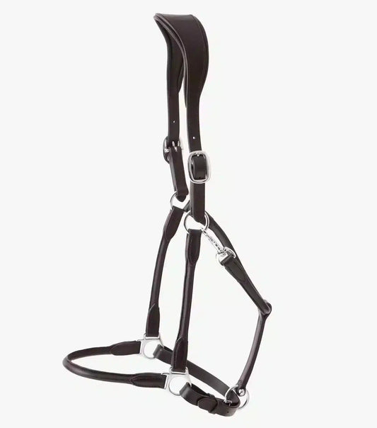 Premier Equine Hennaroso Rolled Anatomic Leather Head Collar by Premier Equine at  Try a Bit
