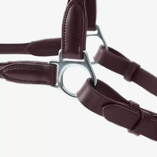 Premier Equine Hennaroso Rolled Anatomic Leather Head Collar by Premier Equine at  Try a Bit
