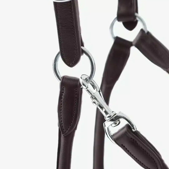 Premier Equine Hennaroso Rolled Anatomic Leather Head Collar by Premier Equine at  Try a Bit