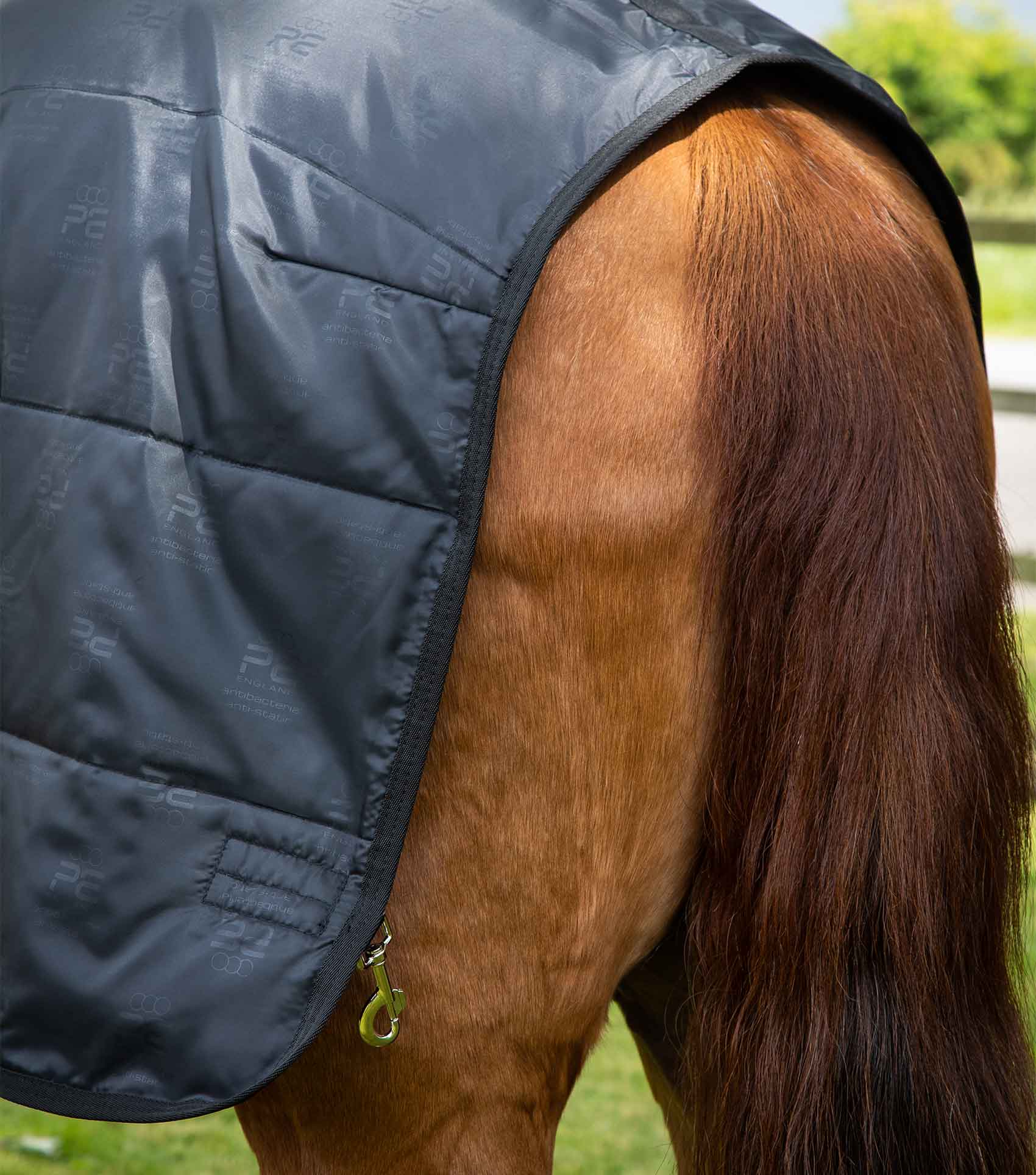 Premier Equine Horse Rug Liner by Premier Equine at  Try a Bit