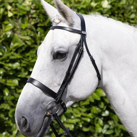Hunter Bridle Black by Premier Equine Int. Ltd. at  Try A Bit