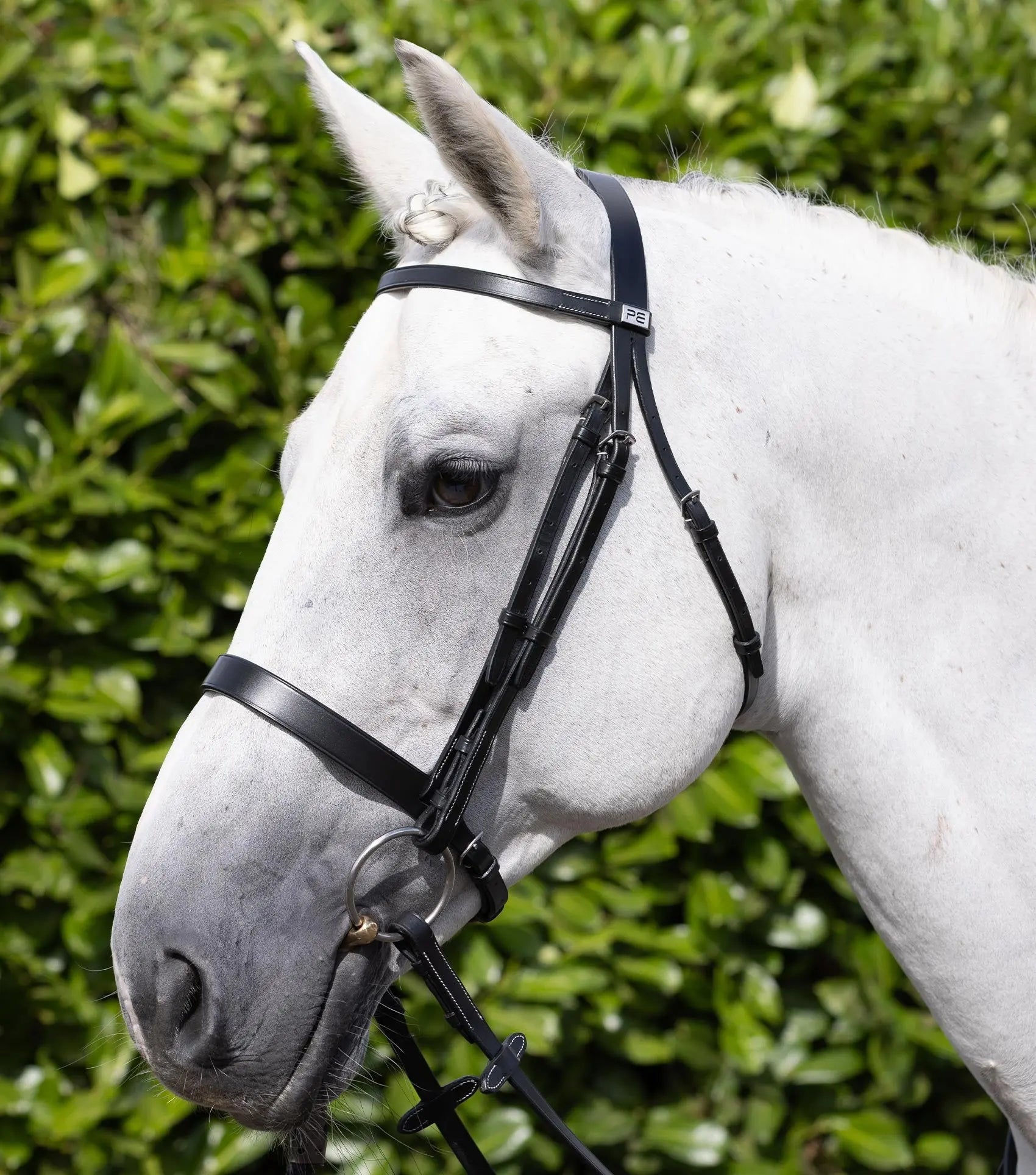 Hunter Bridle Black by Premier Equine Int. Ltd. at  Try A Bit