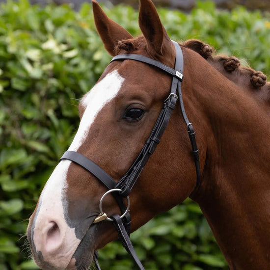 Hunter Bridle Dark Havana by Premier Equine Int. Ltd. at  Try A Bit