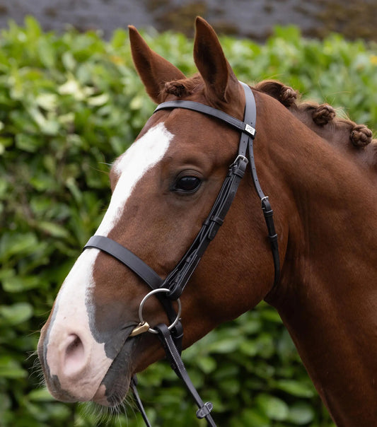 Hunter Bridle Dark Havana by Premier Equine Int. Ltd. at  Try A Bit