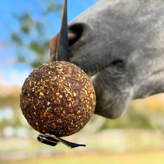 StayBall by Health Horse at  Try A Bit