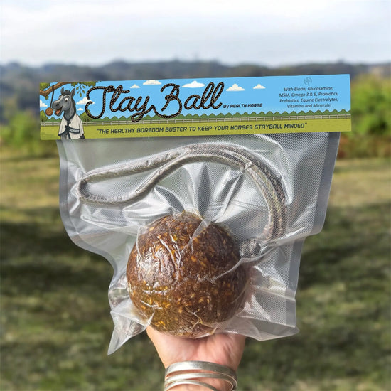 StayBall by Health Horse at  Try A Bit