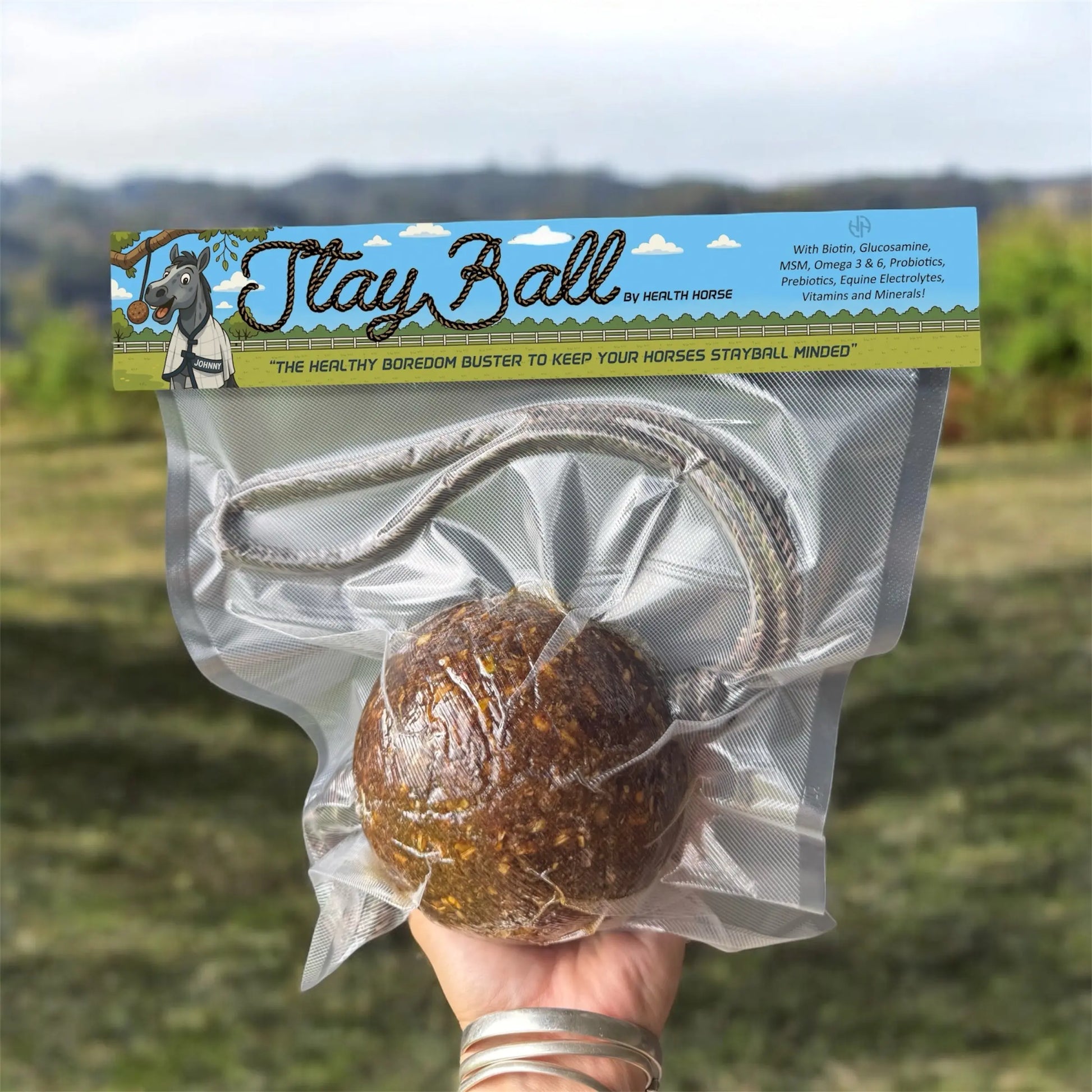 StayBall by Health Horse at  Try A Bit