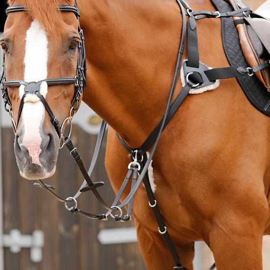Premier Equine Invorio 5 Point Breastplate by Premier Equine at  Try a Bit
