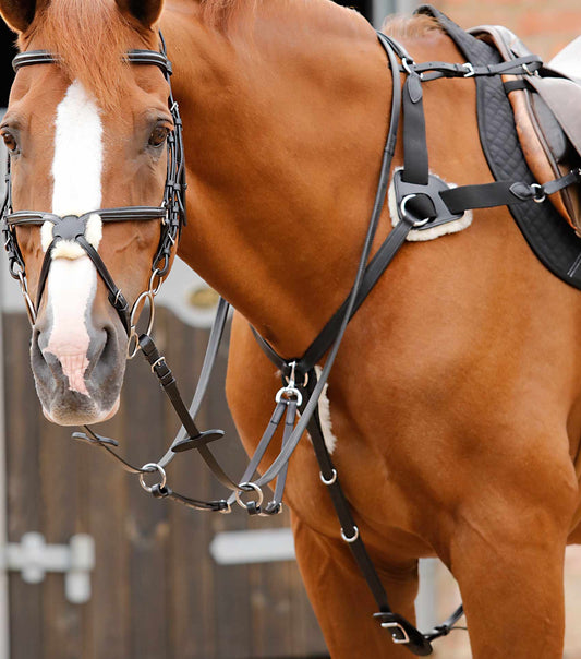Premier Equine Invorio 5 Point Breastplate by Premier Equine at  Try a Bit