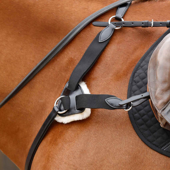 Premier Equine Invorio 5 Point Breastplate by Premier Equine at  Try a Bit