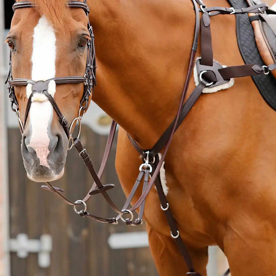 Premier Equine Invorio 5 Point Breastplate by Premier Equine at  Try a Bit