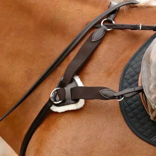 Premier Equine Invorio 5 Point Breastplate by Premier Equine at  Try a Bit