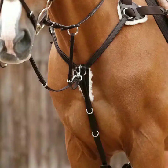 Premier Equine Invorio 5 Point Breastplate by Premier Equine at  Try a Bit
