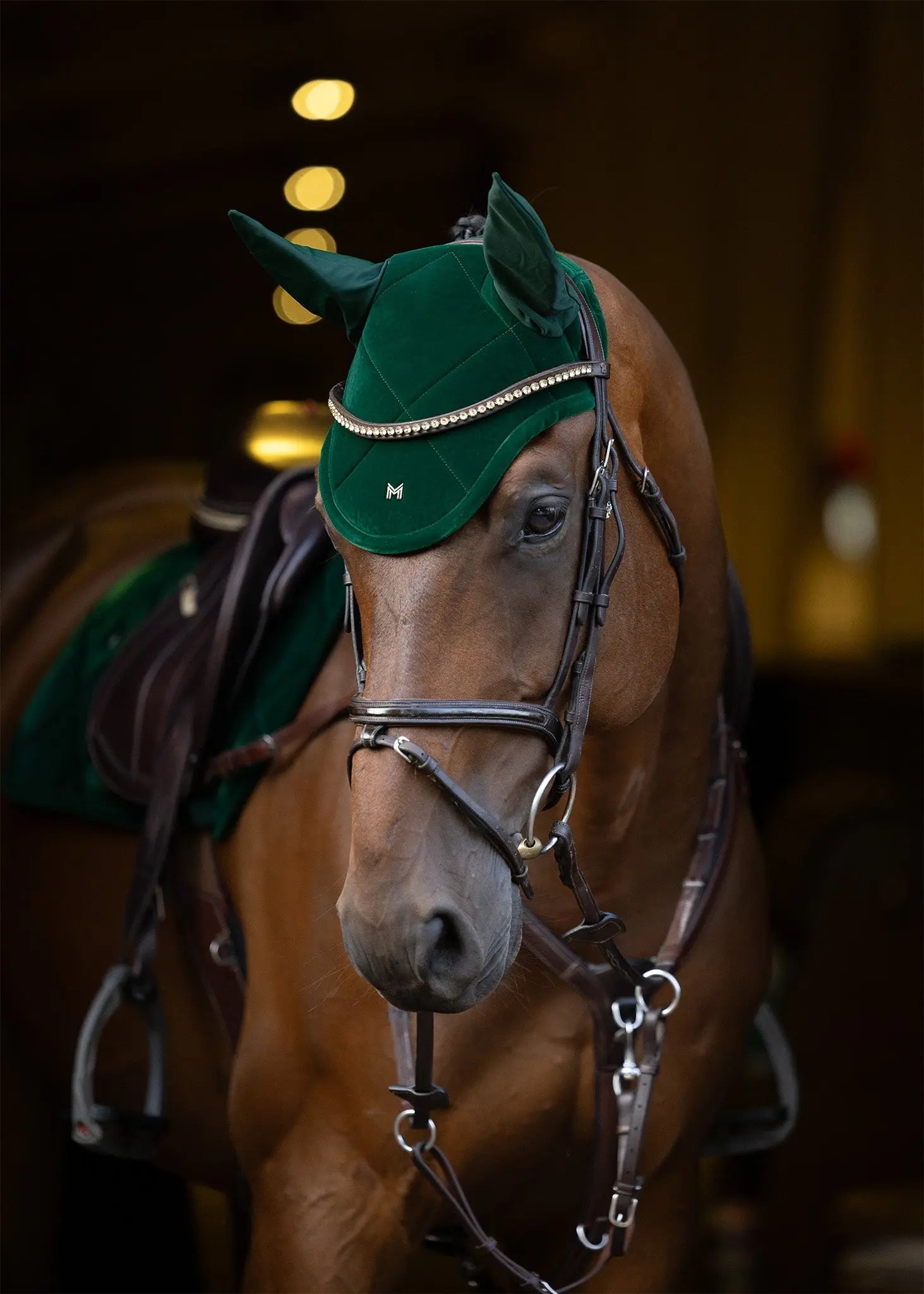 Velvet Jumping Saddle Pad (Jade) by Maximilian Equestrian at  Try A Bit