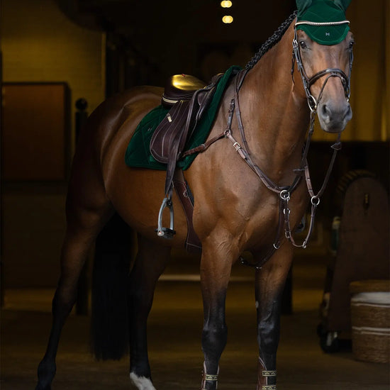 Velvet Jumping Saddle Pad (Jade) by Maximilian Equestrian at  Try A Bit