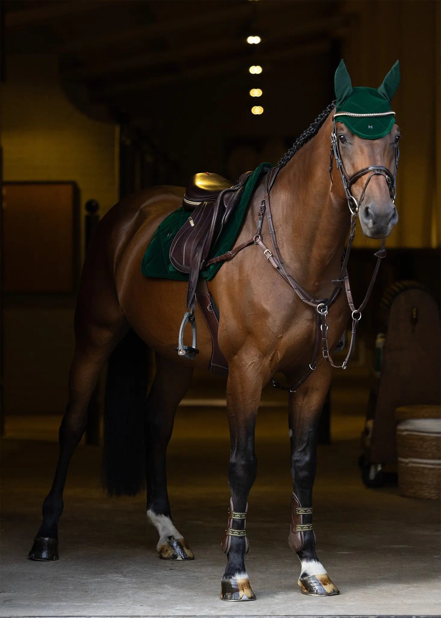 Velvet Jumping Saddle Pad (Jade) by Maximilian Equestrian at  Try A Bit