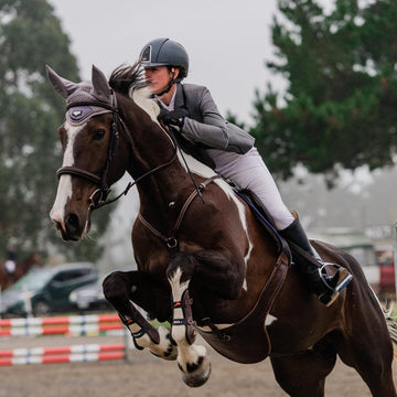 Horse and rider jumping over an obstacle in an equestrian setting