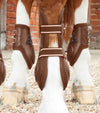 Premier Equine Kevlar Airtechnology Fetlock Boots by Premier Equine at  Try a Bit