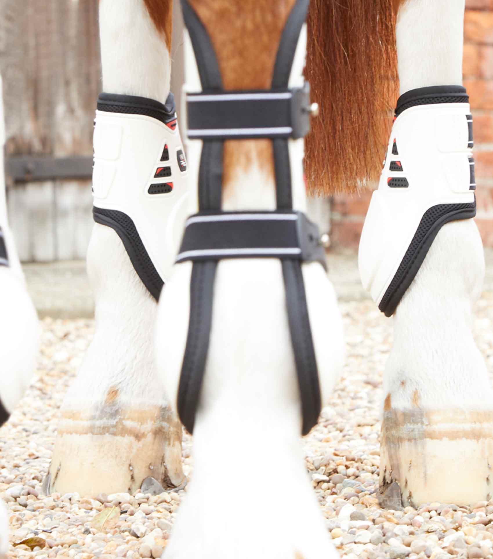 Premier Equine Kevlar Airtechnology Fetlock Boots by Premier Equine at  Try a Bit