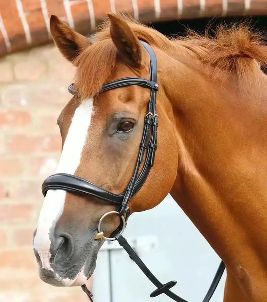 Premier Equine Lambro Anatomic Bridle with Crank Noseband by Premier Equine at  Try a Bit