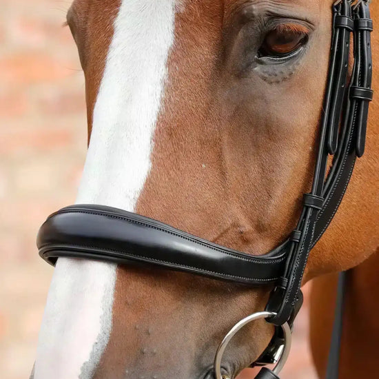Premier Equine Lambro Anatomic Bridle with Crank Noseband by Premier Equine at  Try a Bit