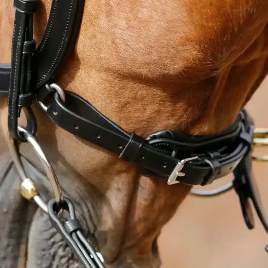 Premier Equine Lambro Anatomic Bridle with Crank Noseband by Premier Equine at  Try a Bit