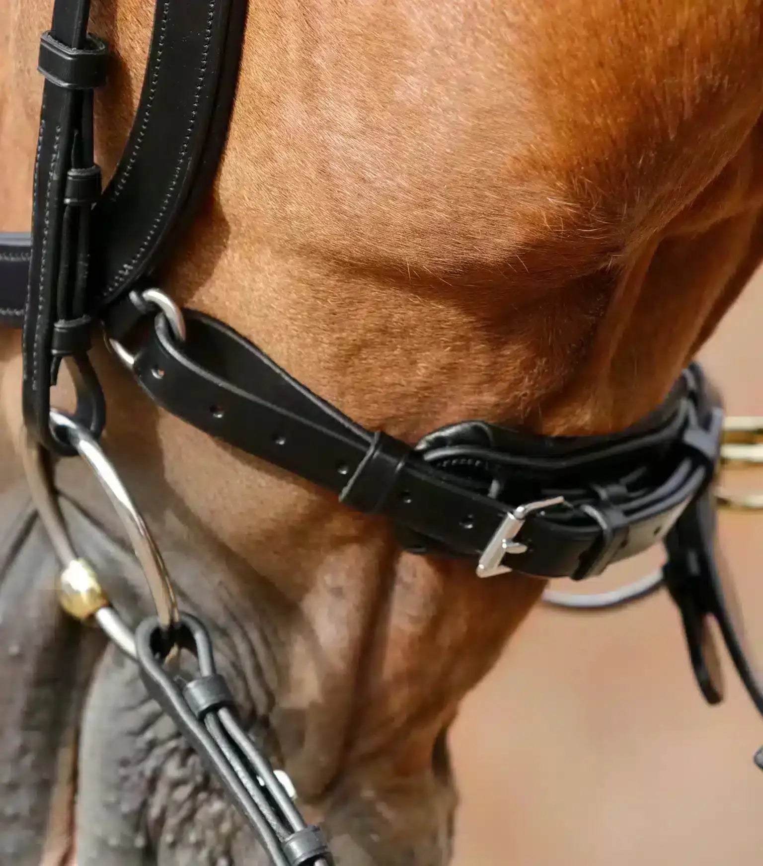 Premier Equine Lambro Anatomic Bridle with Crank Noseband by Premier Equine at  Try a Bit