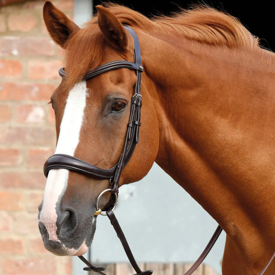 Premier Equine Lambro Anatomic Bridle with Crank Noseband by Premier Equine at  Try a Bit