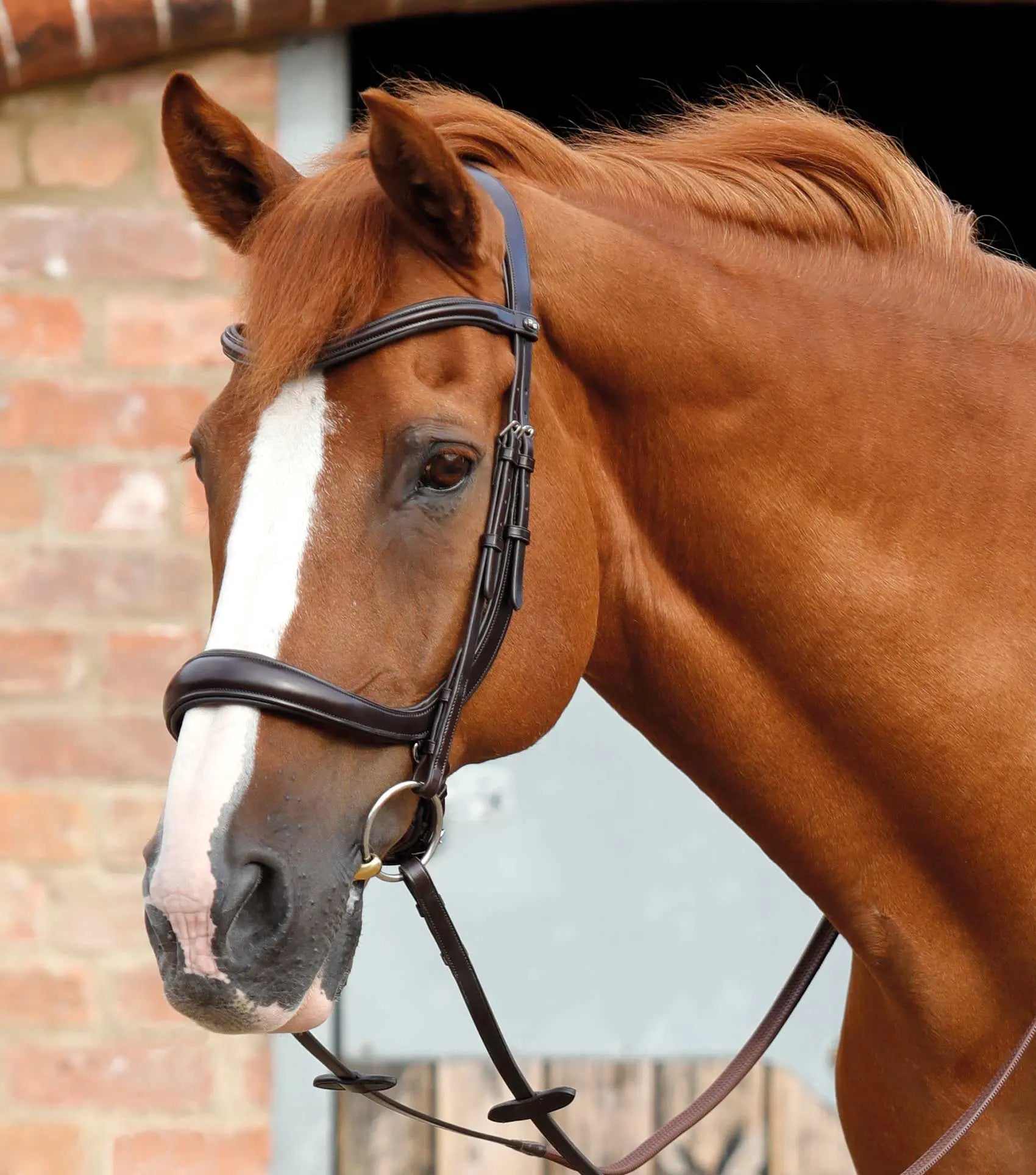Premier Equine Lambro Anatomic Bridle with Crank Noseband by Premier Equine at  Try a Bit