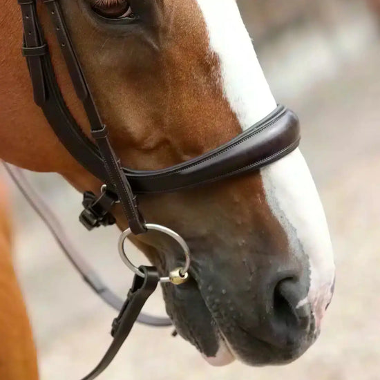 Premier Equine Lambro Anatomic Bridle with Crank Noseband by Premier Equine at  Try a Bit