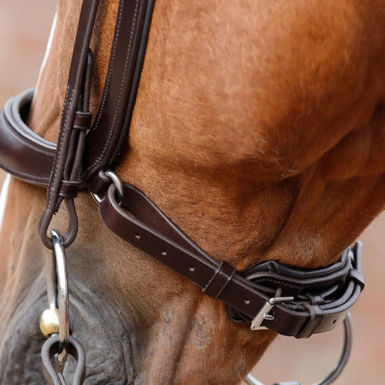 Premier Equine Lambro Anatomic Bridle with Crank Noseband by Premier Equine at  Try a Bit