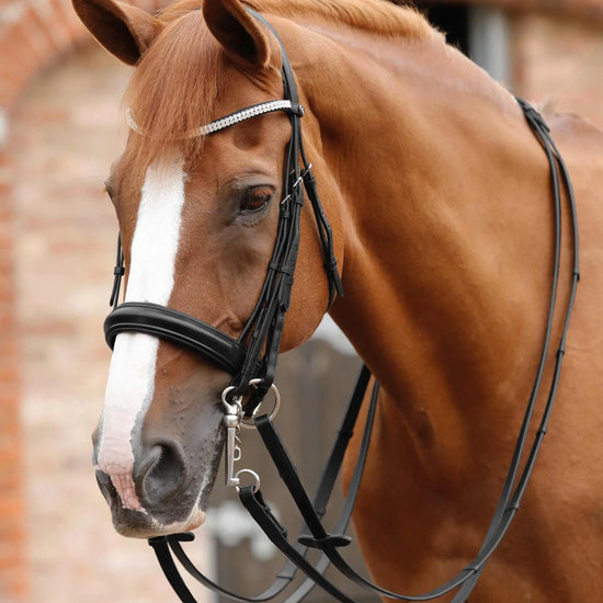 Premier Equine Leonardo Plain Leather Double Bridle Reins by Premier Equine at  Try a Bit