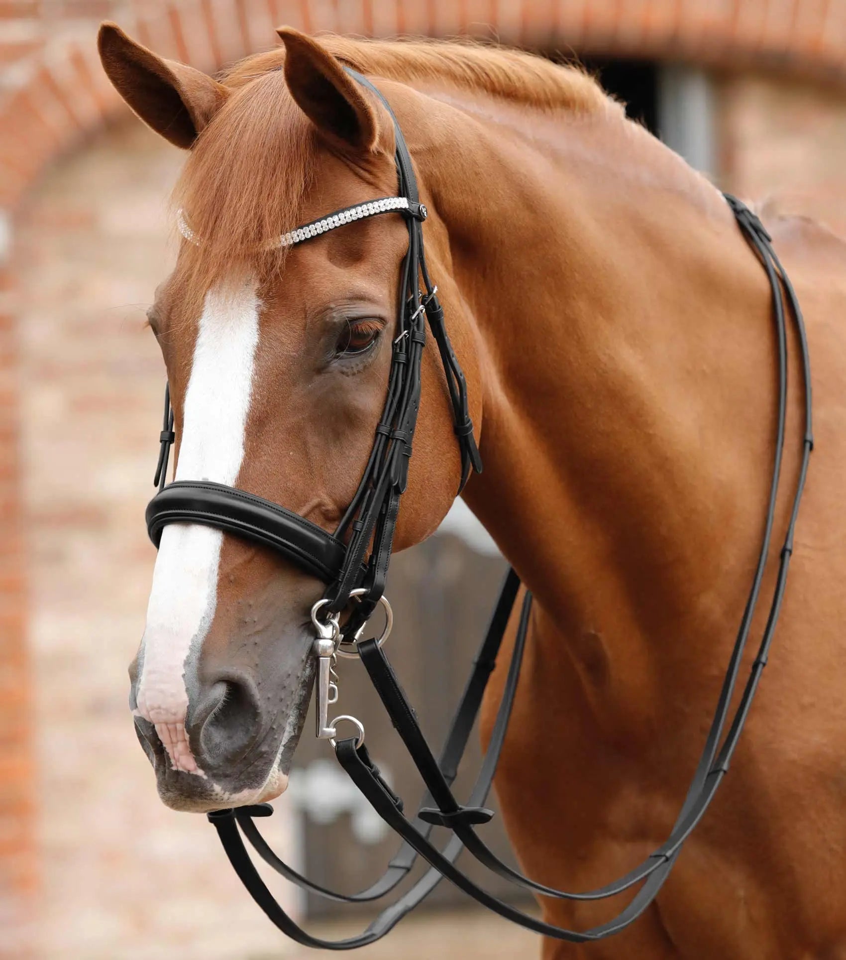 Premier Equine Leonardo Plain Leather Double Bridle Reins by Premier Equine at  Try a Bit