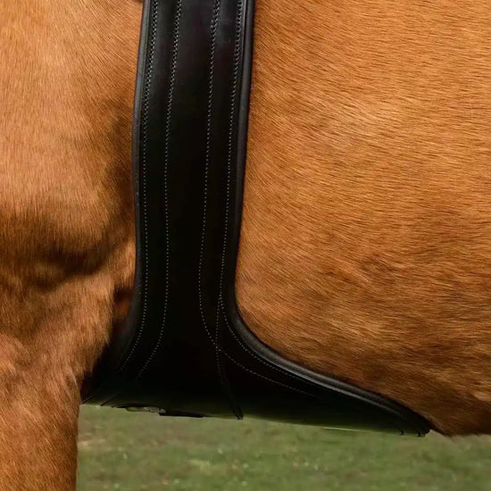 Premier Equine Lizzano Anatomic Leather Stud Girth by Premier Equine at  Try a Bit