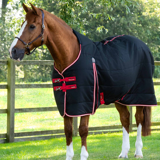 Premier Equine Lucanta Demi Stable 200g by Premier Equine at  Try a Bit