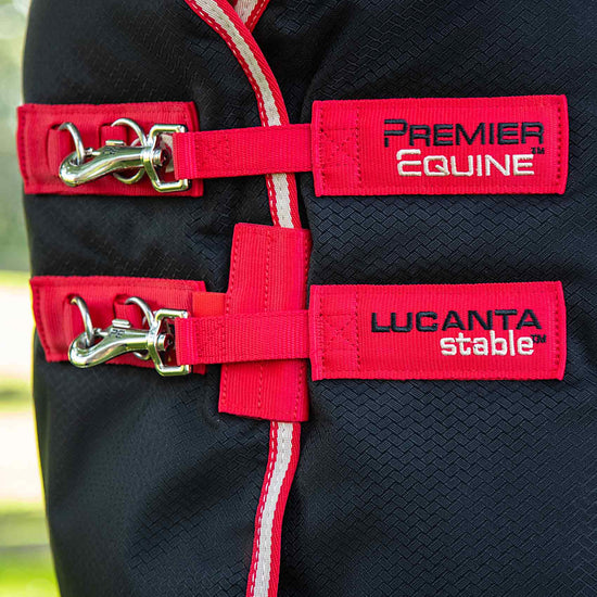 Premier Equine Lucanta Demi Stable 200g by Premier Equine at  Try a Bit