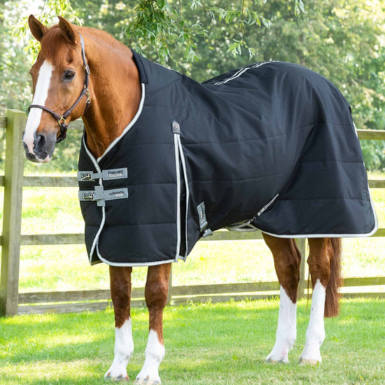 Premier Equine Lucanta Demi Stable 100g by Premier Equine at  Try a Bit