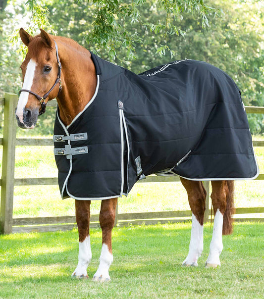 Premier Equine Lucanta Demi Stable 100g by Premier Equine at  Try a Bit