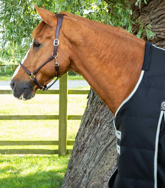 Premier Equine Lucanta Demi Stable 100g by Premier Equine at  Try a Bit