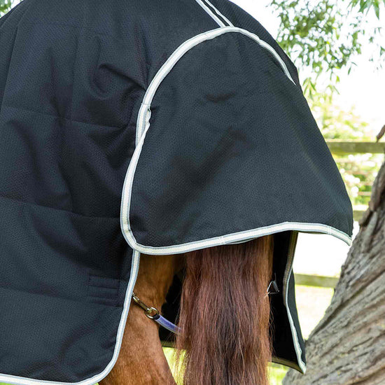 Premier Equine Lucanta Demi Stable 100g by Premier Equine at  Try a Bit