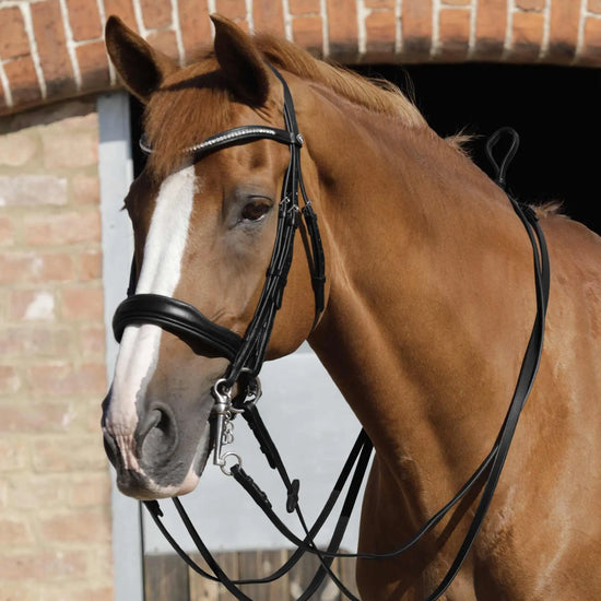 Premier Equine Luigi Plain Leather Reins by Premier Equine at  Try a Bit